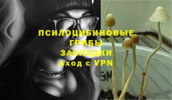 прущий лед Алексеевка