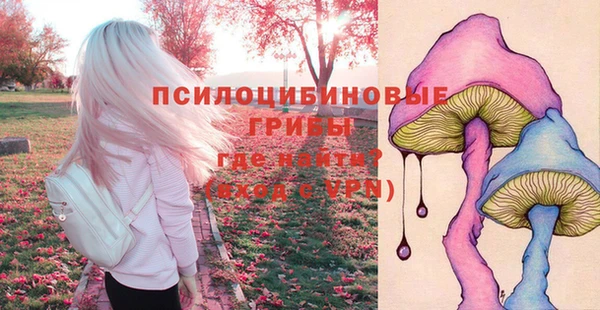 прущий лед Алексеевка