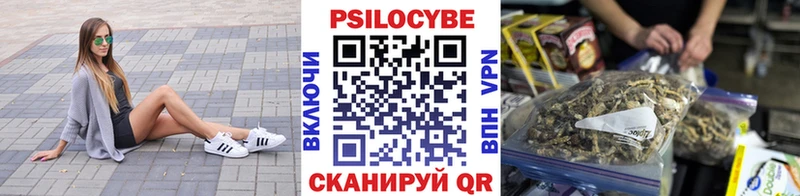 Галлюциногенные грибы Psilocybine cubensis  наркота  Любим 